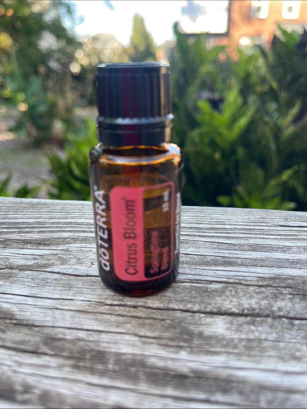 DoTerra Citrus Bloom essential oil